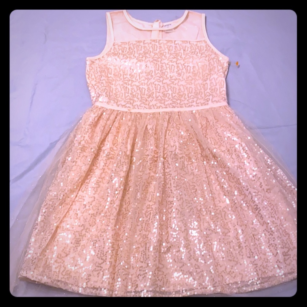 Carter’s Sequin Dress